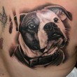 Tattoo Motiv Bulldog