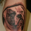 Tattoo motiv Hund Realistik